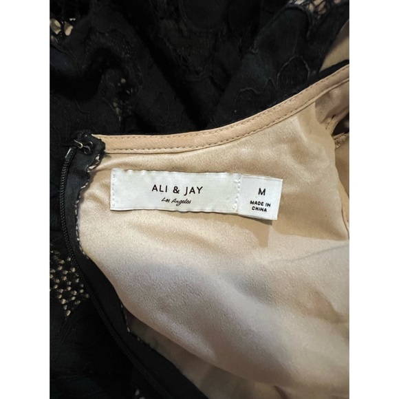 Ali & Jay Black and Nude Lace Dress - Picture 3 of 3